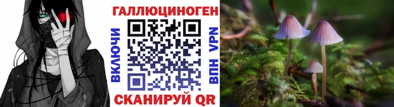 Псилоцибиновые грибы мицелий магазин продажи Сысерть