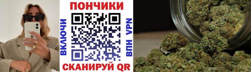 Бошки Шишки Amnesia  Сысерть 